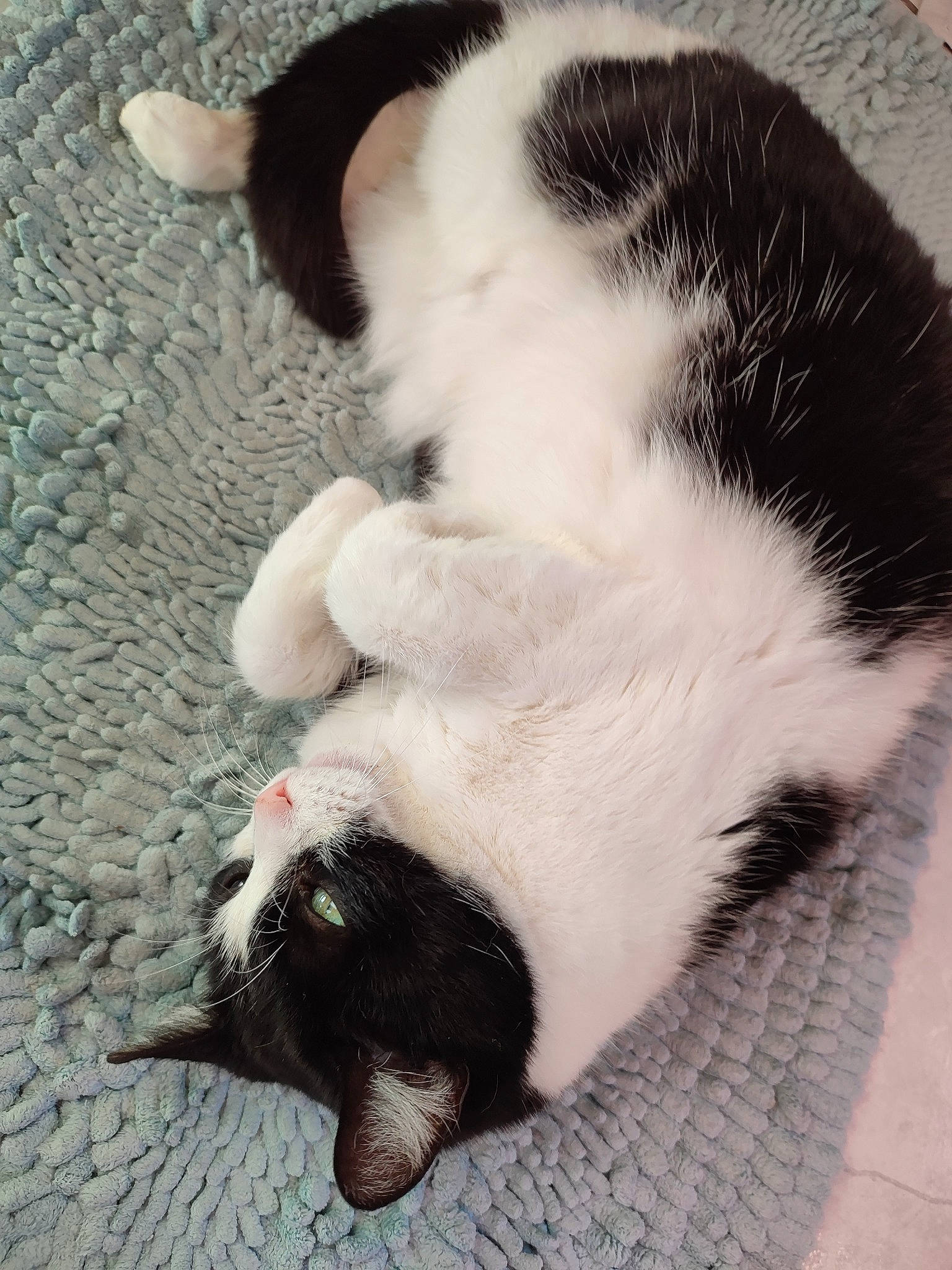 Gus