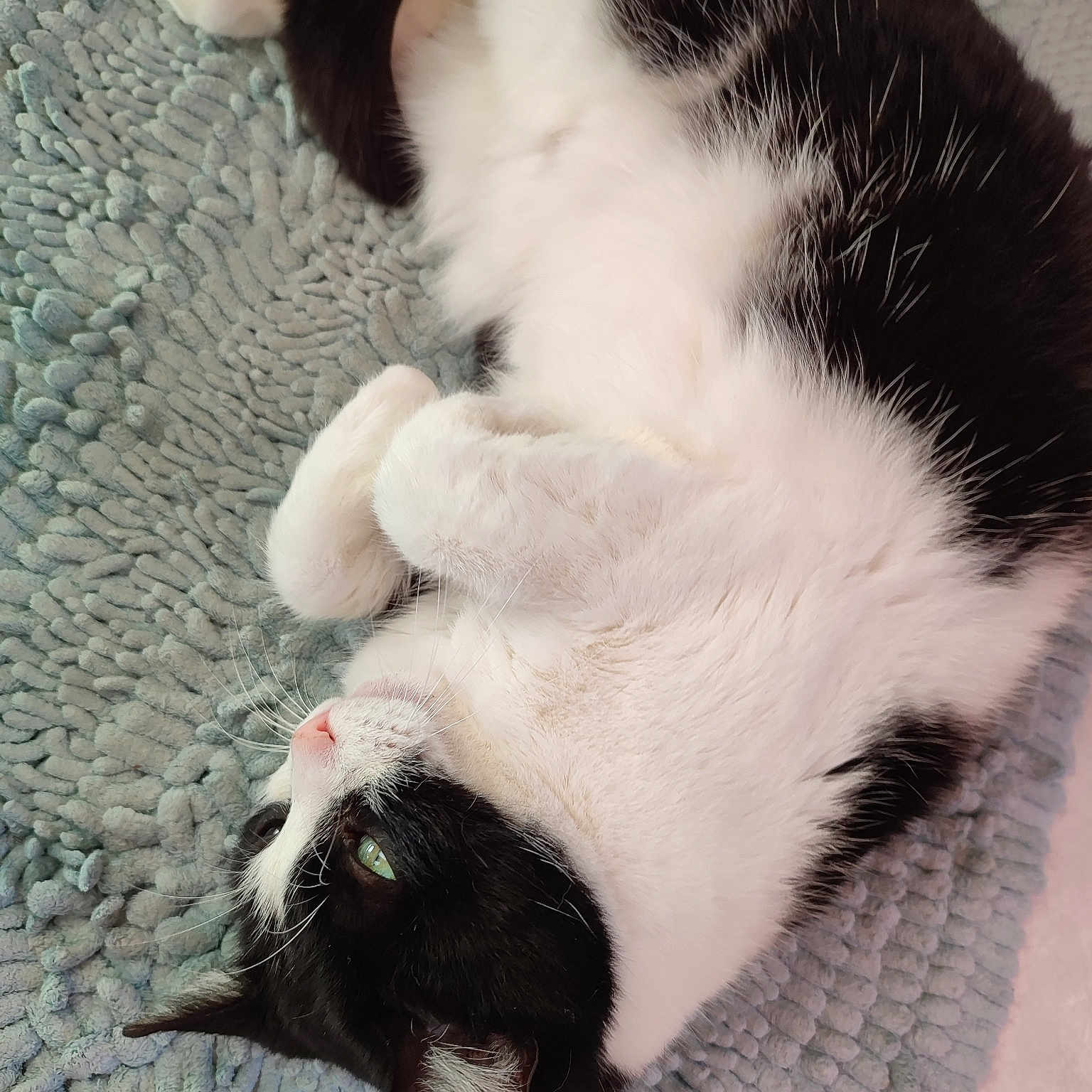 Gus