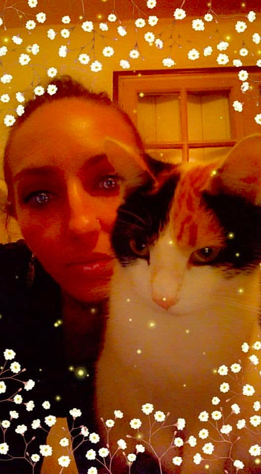 Pépette Et Bb a rejoint le concours — aidez-le/la à gagner de superbes lots ! beauty, black_hair, brown_hair, carnivore, cat, eyebrow, eyelash, felidae, happy, light, lighting, lip, long_hair, nose, pattern, photograph, small_to_medium_sized_cats, snapshot, whiskers, window