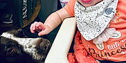 Evelyn joined the competition — help win amazing prizes! animal, baby, bib, blanket, chair, child, cute, dog, face, floor, hand, happy, high_chair, indoor, looking, orange_clothing, person, pet, playful, smiling