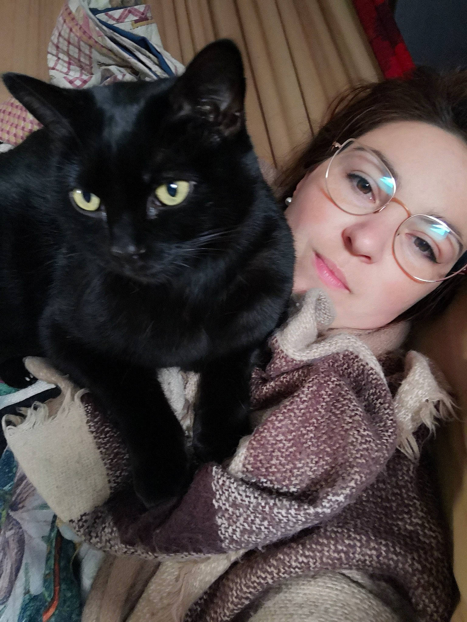 Indiana participe au concours pour gagner de l'argent avec cette photo : american_shorthair, asian, black_cat, black_hair, bombay, carnivore, cat, domestic_short_haired_cat, ear, eye, felidae, fur, glasses, iris, nose, skin, small_to_medium_sized_cats, snout, whiskers