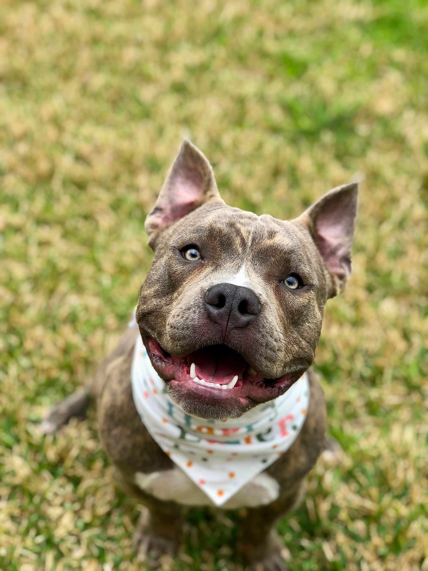Zeke