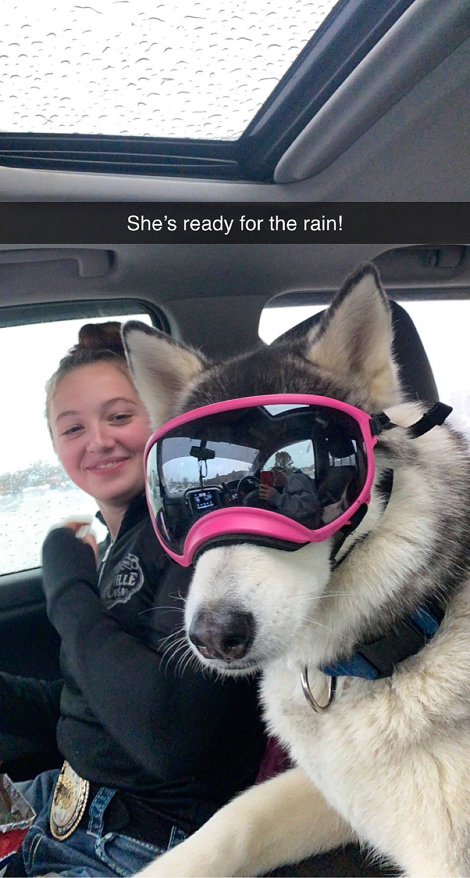 Kalani is registered to the contest to win money with this photo: automotive_design, automotive_exterior, car, carnivore, collar, companion_dog, dog, dog_breed, eyewear, glasses, goggles, mammal, motor_vehicle, personal_luxury_car, sled_dog, smile, steering_wheel, sunglasses, vehicle_door, vertebrate