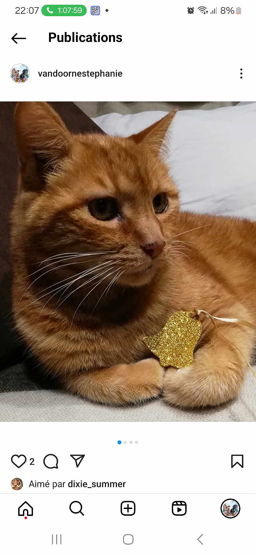 Dakota participe au concours pour gagner de l'argent avec cette photo : cat, ginger_cat, pet, animal, whiskers, paws, fur, ornament, golden, bell, closeup, indoor, relaxed, looking_away, soft_surface, cute, feline, domestic_animal, resting, cozy