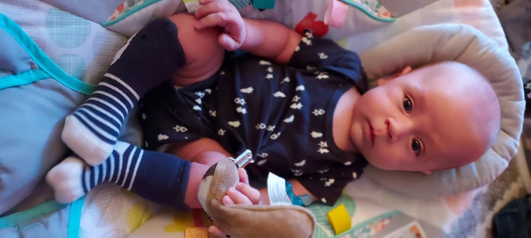 Kylo joined the competition — help win amazing prizes! arm, baby, baby_products, baby_toddler_clothing, cheek, child, finger, fun, gesture, hand, happy, nail, pattern, person, play, sharing, sitting, smile, thumb, toddler