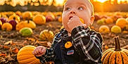 Bodhi is registered to the contest to win money with this photo: baby, child, pumpkin, pumpkin_patch, autumn, fall, overalls, plaid_shirt, sunset, outdoor, nature, curious, sitting, gourds, harvest, cute, seasonal, young_child, field, leaf_litter