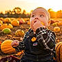 baby, child, pumpkin, pumpkin_patch, autumn, fall, overalls, plaid_shirt, sunset, outdoor, nature, curious, sitting, gourds, harvest, cute, seasonal, young_child, field, leaf_litter