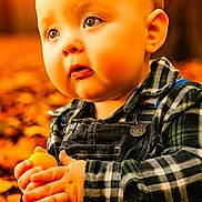 Bodhi joined the competition — help win amazing prizes! baby, child, autumn, fall_leaves, overalls, plaid_shirt, outdoor, nature, sunlight, portrait, cute, seasonal, warm_colors, hands, curious, young_child, closeup, face, sitting, daylight