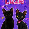 black_cat, kitten, cartoon_cat, purple_background, stars, hearts, pink_collar, collar_tag, cute, pets, animal, illustration, real_and_cartoon, sitting, eyes, ears, whiskers, adorable, face, portrait