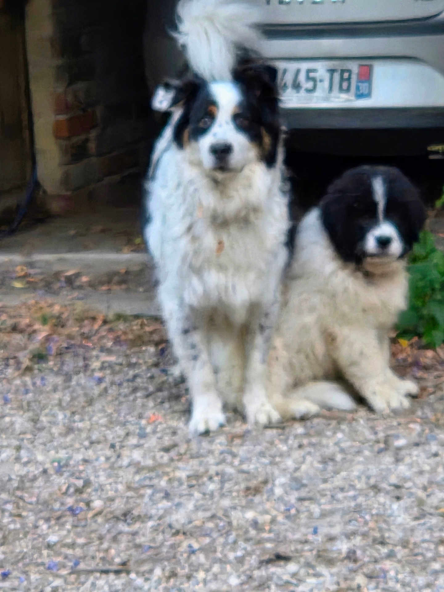 Sam Et Bô