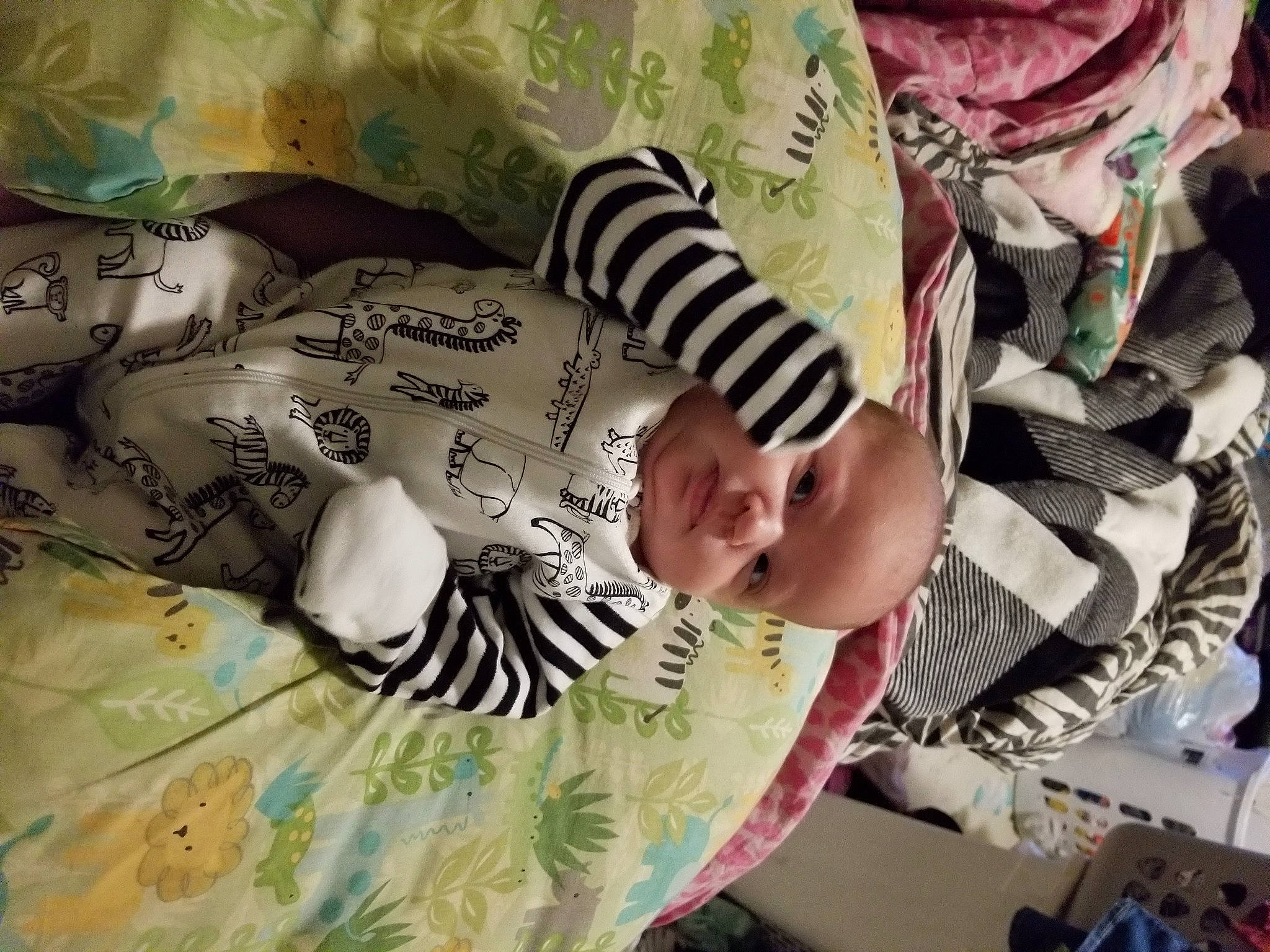 Anabelle joined the competition — help win amazing prizes! baby, baby_products, baby_toddler_clothing, bedding, bedtime, child, comfort, design, happy, linens, pattern, person, plant, product, quilt, sleeve, t_shirt, textile, toddler, tree