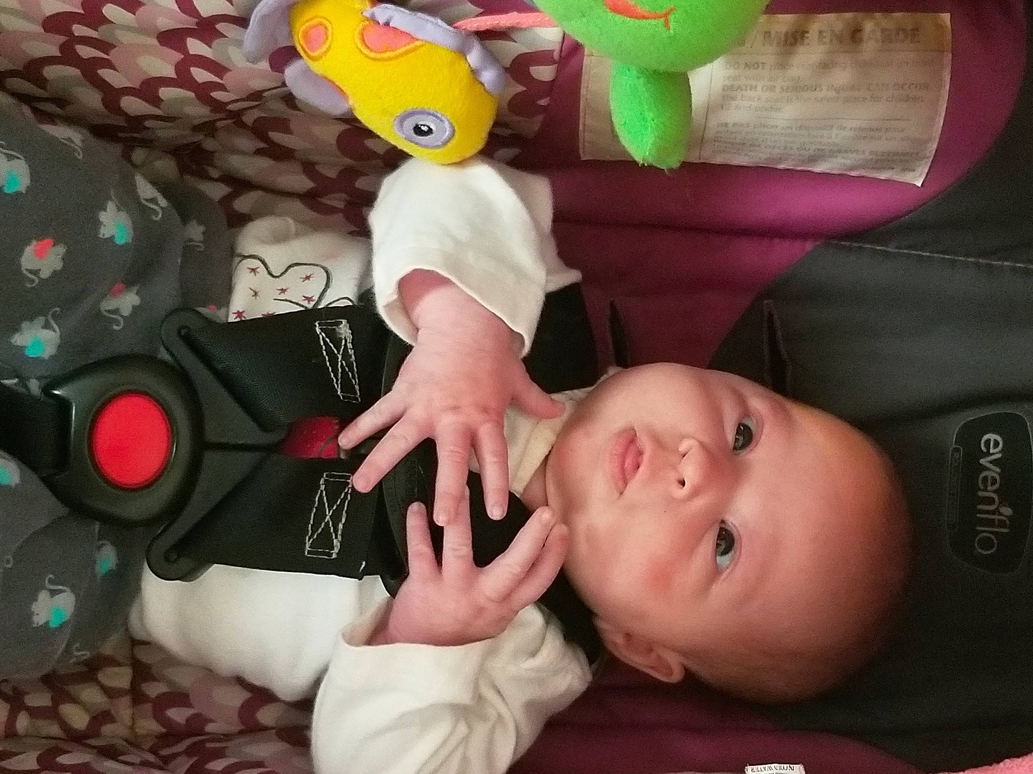 Anabelle joined the competition — help win amazing prizes! arm, baby_toddler_clothing, comfort, cool, eyelash, finger, fun, gesture, happy, human_body, mammal, mouth, organ, person, product, red, skin, textile, toddler, toy