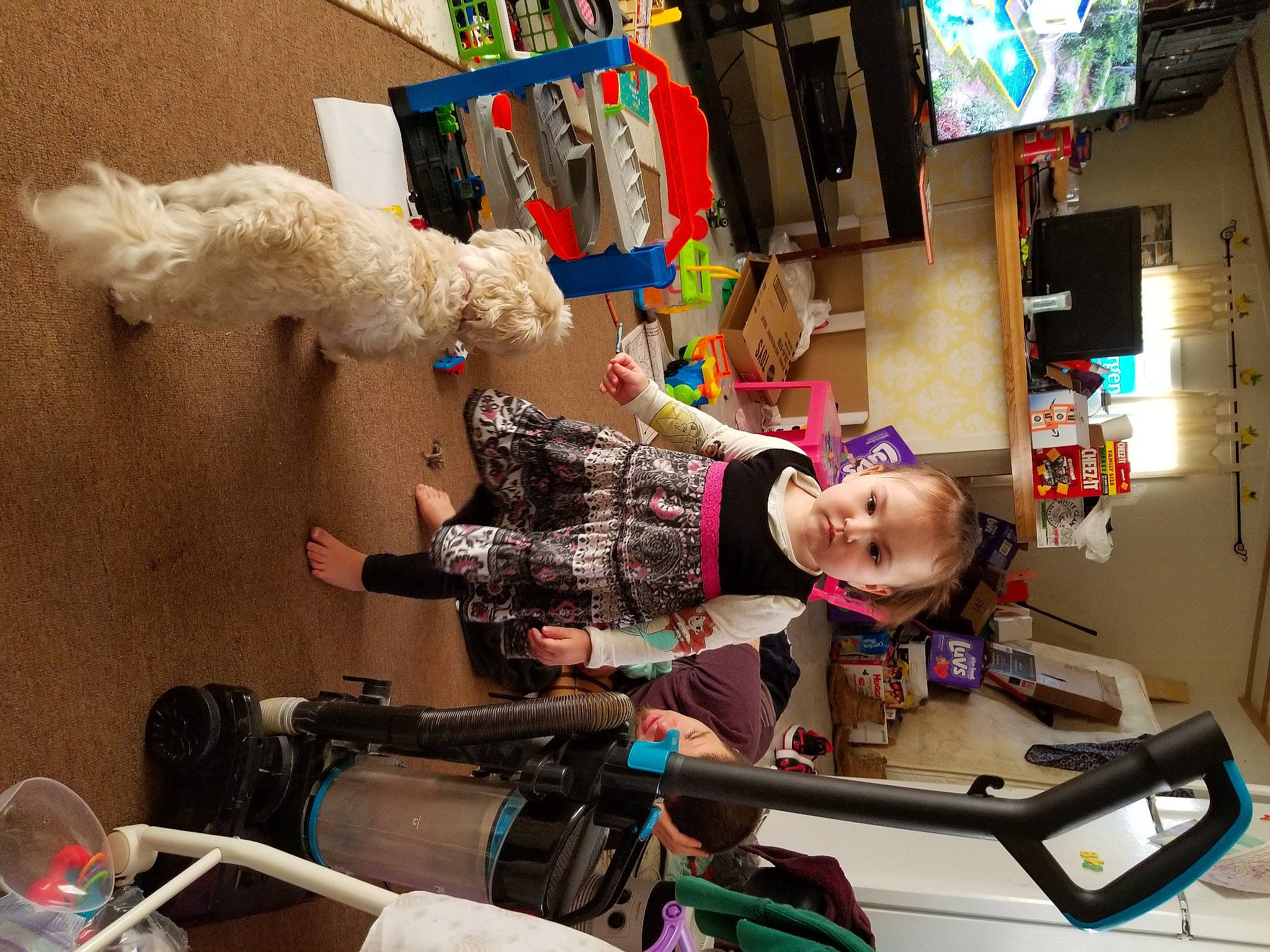 Paige joined the competition — help win amazing prizes! baby, child, costume, event, fun, fur, machine, person, room, t_shirt, television, toddler, visual_arts