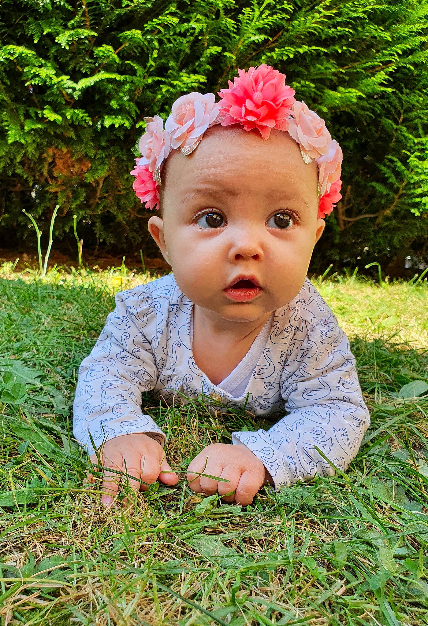 Albane participe au concours pour gagner de l'argent avec cette photo : baby, baby_toddler_clothing, cheek, child, eye, flower, grass, grass_family, happy, head, headband, headpiece, meadow, people_in_nature, person, petal, pink, plant, summer, surprise