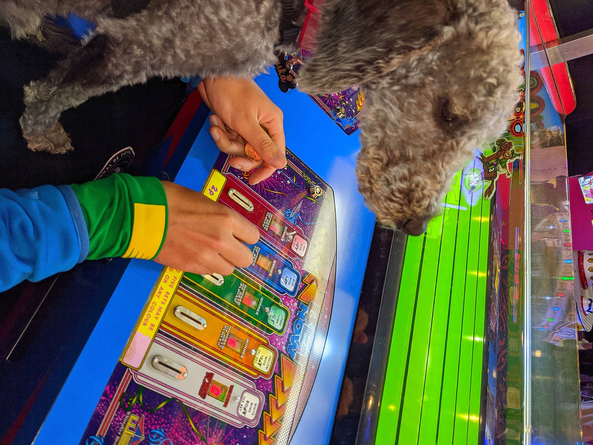 Luka is registered to the contest to win money with this photo: art, child, dog, electric_blue, fun, fur, indoor_games_and_sports, leisure, machine, play, recreation, sporting_group, textile, visual_arts, water_dog, world, writing_implement