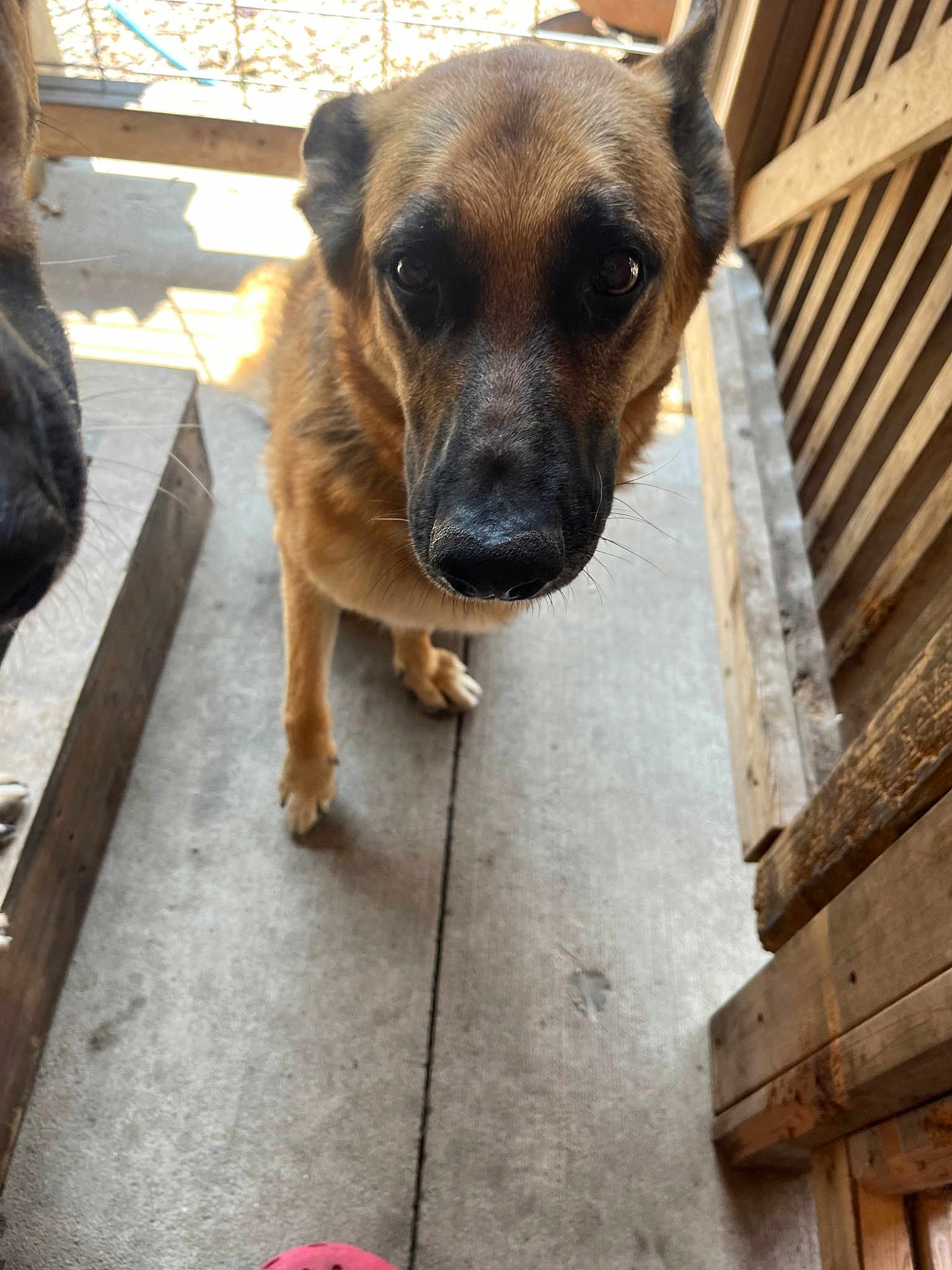 Ethel