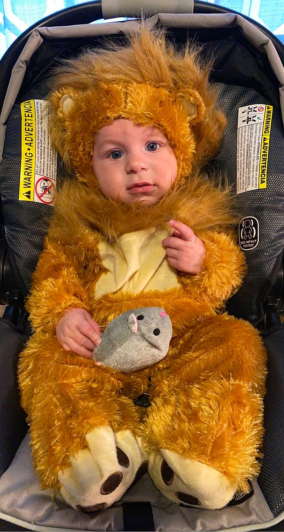 Justin Jr is registered to the contest to win money with this photo: blond, brown_hair, child, costume, event, fun, fur, fur_clothing, happy, head, headgear, headwear, human_body, organ, person, skin, stuffed_toy, teddy_bear, textile, toddler