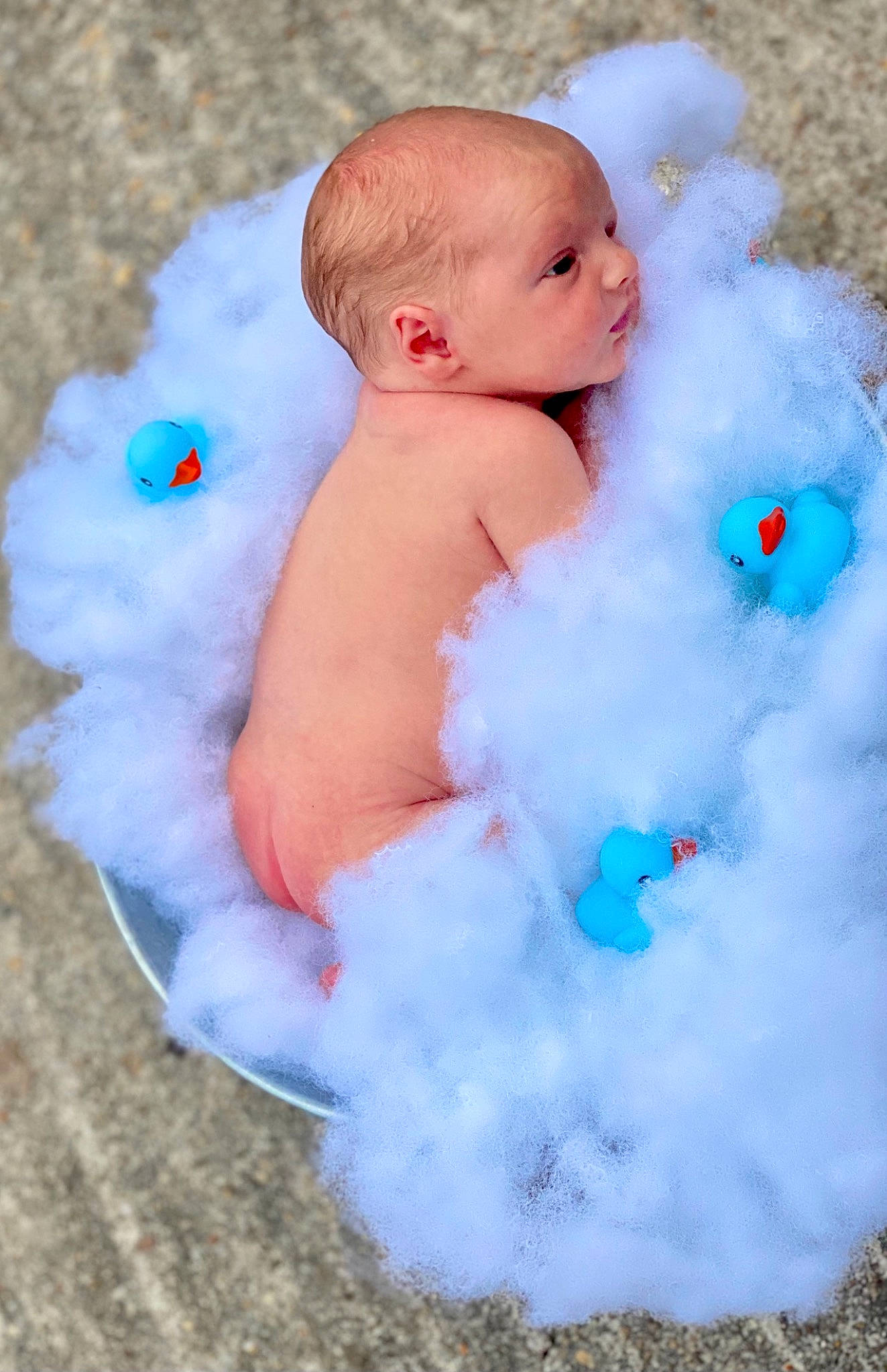 Keenan joined the competition — help win amazing prizes! azure, baby, baby_toddler_clothing, beauty, child, electric_blue, fun, fur, happy, natural_material, person, pink, portrait_photography, sitting, stomach, toddler