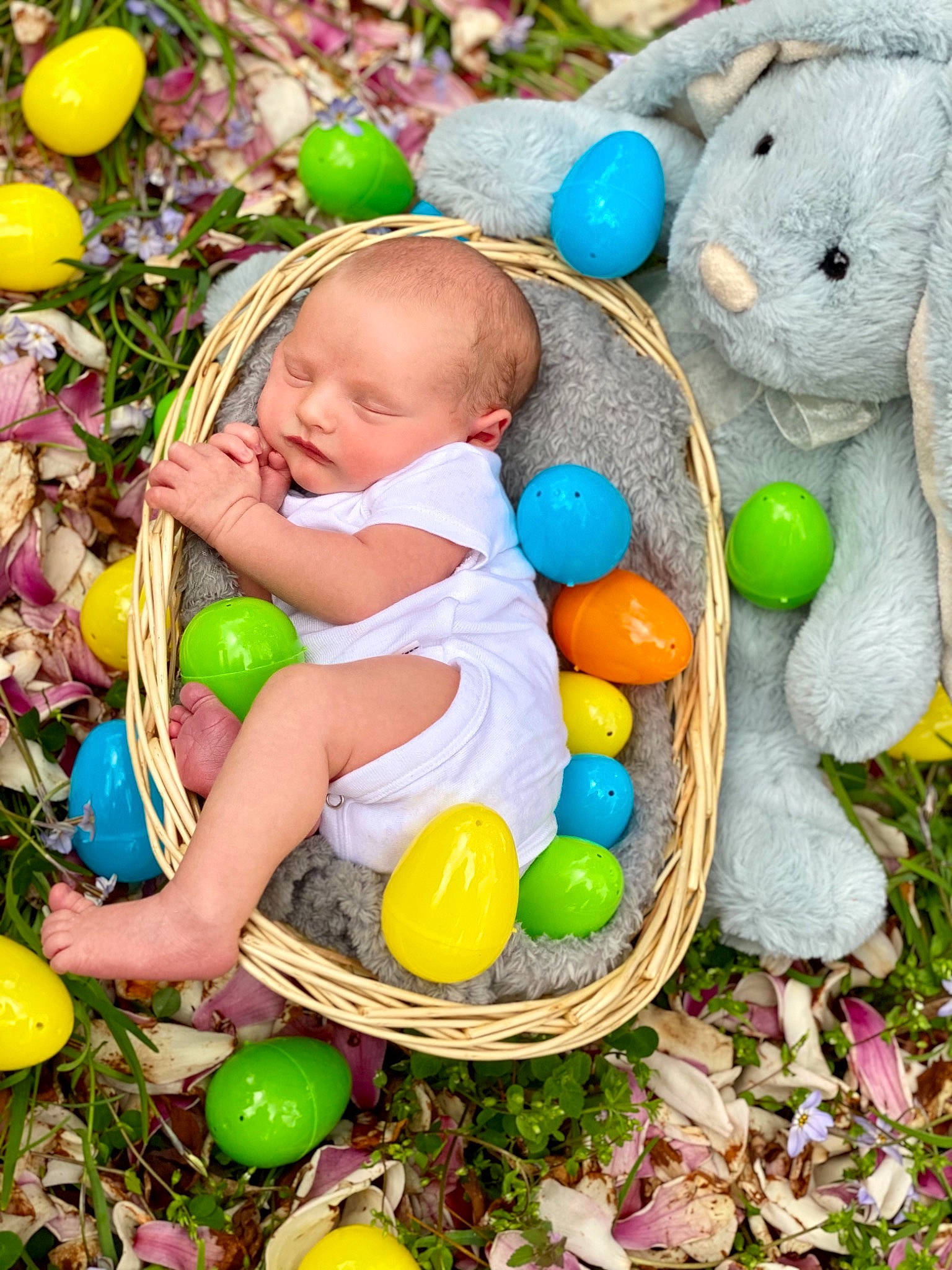 Keenan joined the competition — help win amazing prizes! baby, baby_products, baby_toddler_clothing, basket, child, easter, event, fun, grass, happy, holiday, natural_foods, people_in_nature, person, play, sitting, stuffed_toy, sweetness, toddler, toy