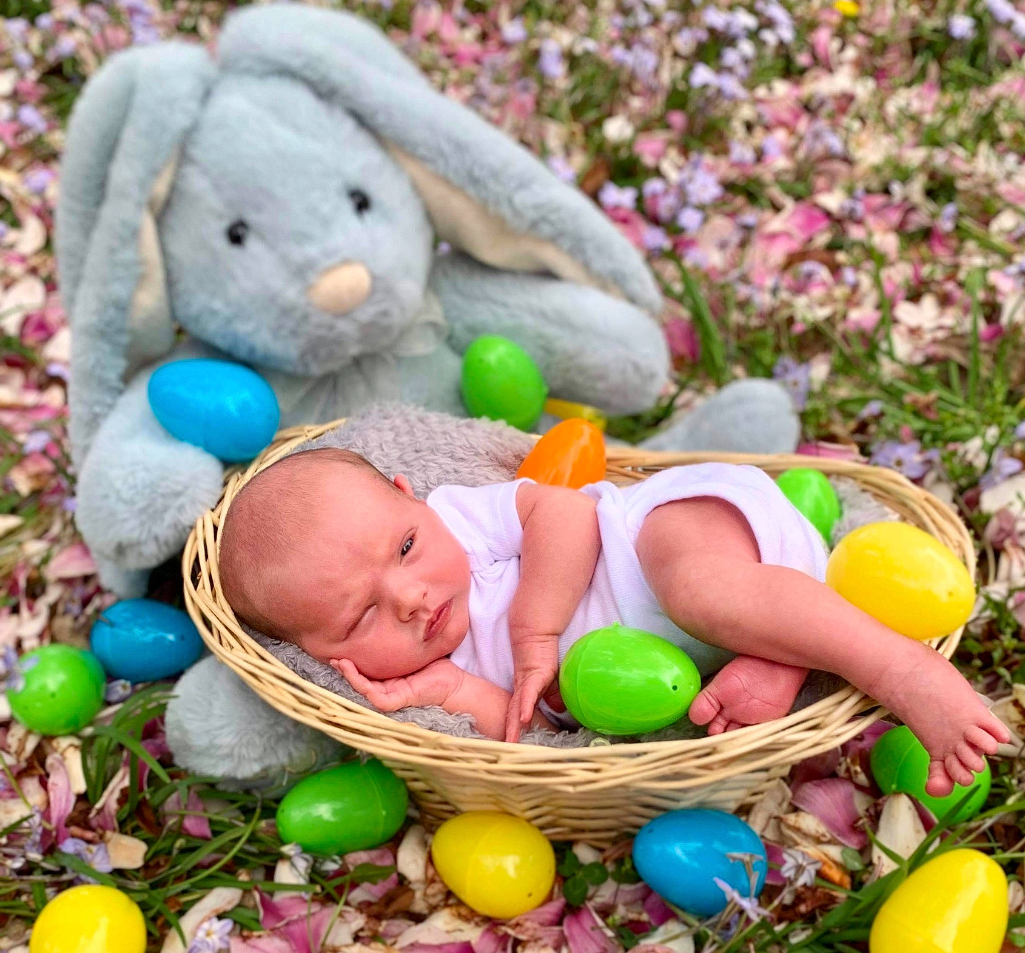 Keenan is registered to the contest to win money with this photo: baby, baby_sleeping, baby_toddler_clothing, basket, beauty, child, comfort, easter, event, grass, happy, people, people_in_nature, person, photograph, product, spring, sweetness, toddler, toy