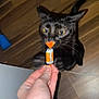 black_cat, cat, animal, pet, hand, candy, floor, wood_floor, curious, paw, ears, whiskers, indoor, human_hand, sniffing, orange, white, wrapped_candy, close_up, playful