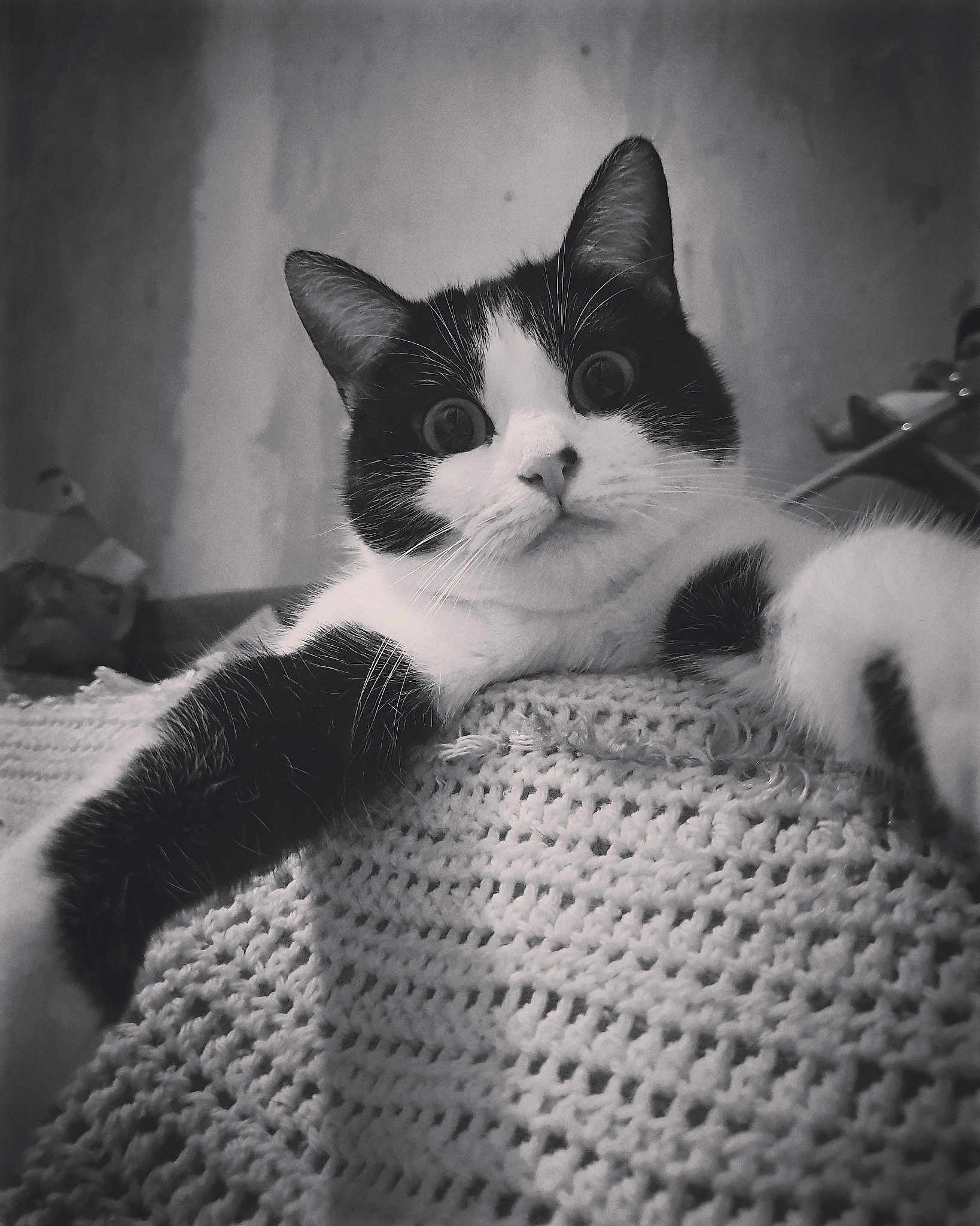 Moumoune