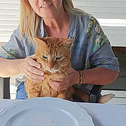 Tirou participe au concours pour gagner de l'argent avec cette photo : blonde_hair, bracelet, casual_clothing, cat, chair, daylight, empty_plate, food, ginger_cat, green_eyes, hand, human, indoor, pet, plate, short_sleeves, sitting, table, window_blinds, woman