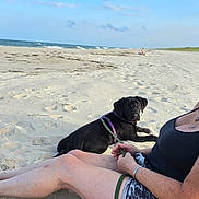 Raven is registered to the contest to win money with this photo: woman, dog, beach, sand, ocean, sunlight, smile, sunglasses, relaxing, barefoot, summer, vacation, leash, casual_clothing, outdoor, pet, waves, blue_sky, happiness, scenic