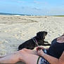woman, dog, beach, sand, ocean, sunlight, smile, sunglasses, relaxing, barefoot, summer, vacation, leash, casual_clothing, outdoor, pet, waves, blue_sky, happiness, scenic