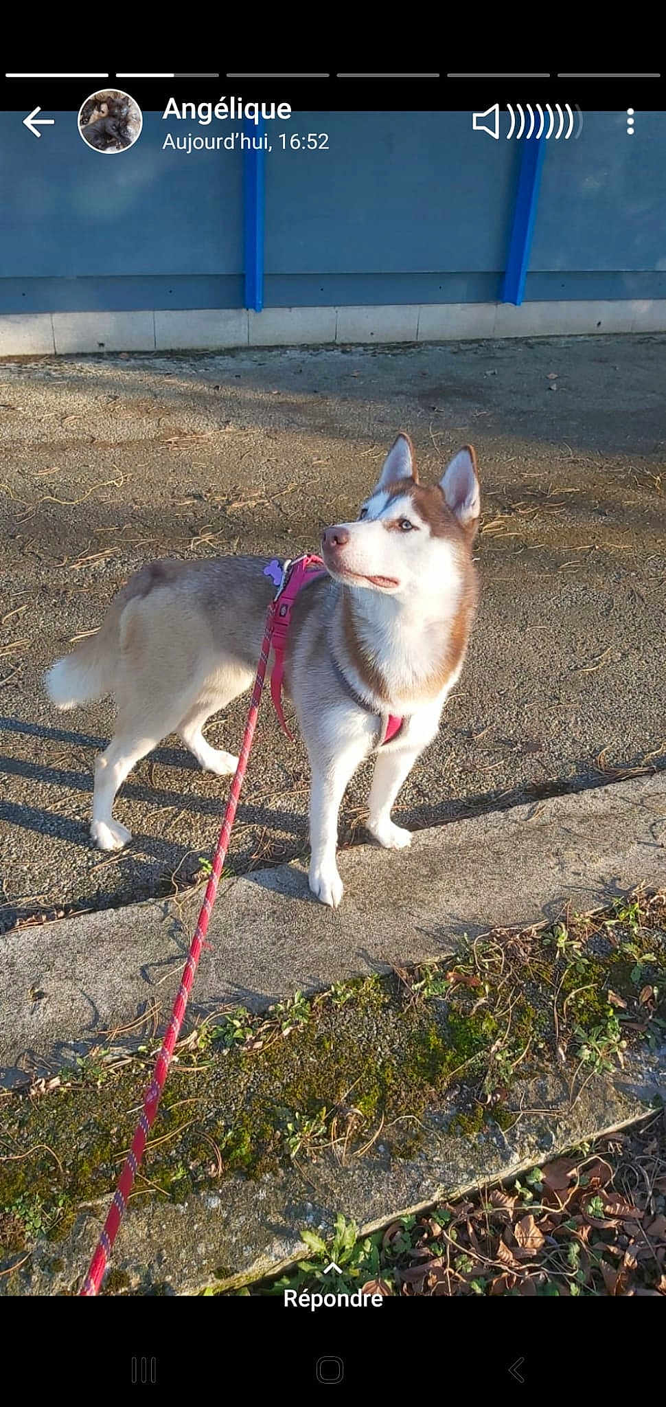 Tina