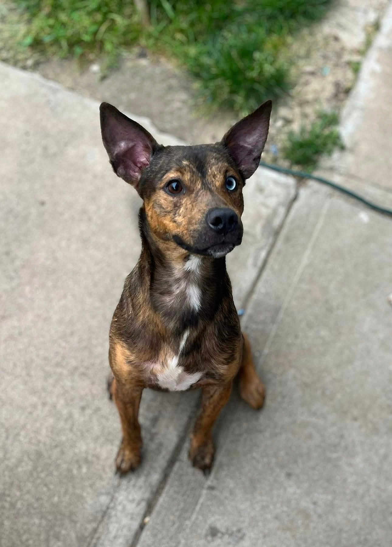 Zeus