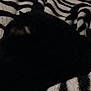 Connor Macmanus is registered to the contest to win money with this photo: