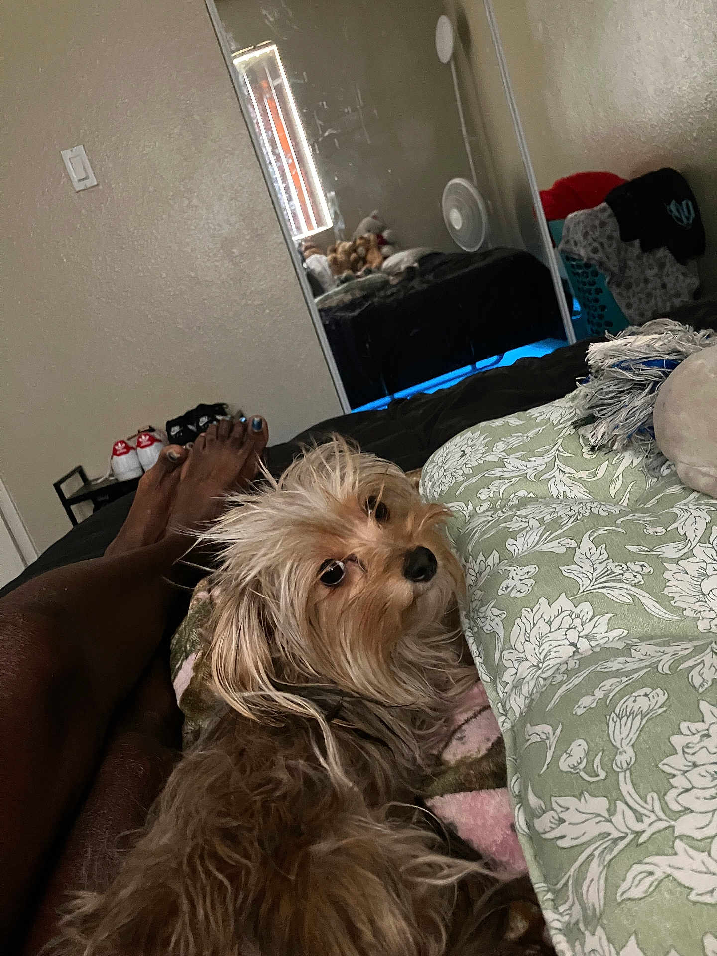 Chiquita