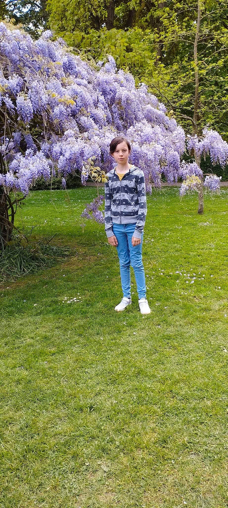 Cindy a rejoint le concours — aidez-le/la à gagner de superbes lots ! annual_plant, blossom, botany, denim, electric_blue, flower, flowering_plant, garden, grass, grassland, groundcover, jeans, leisure, people_in_nature, person, plant, shrub, spring, tree, wisteria
