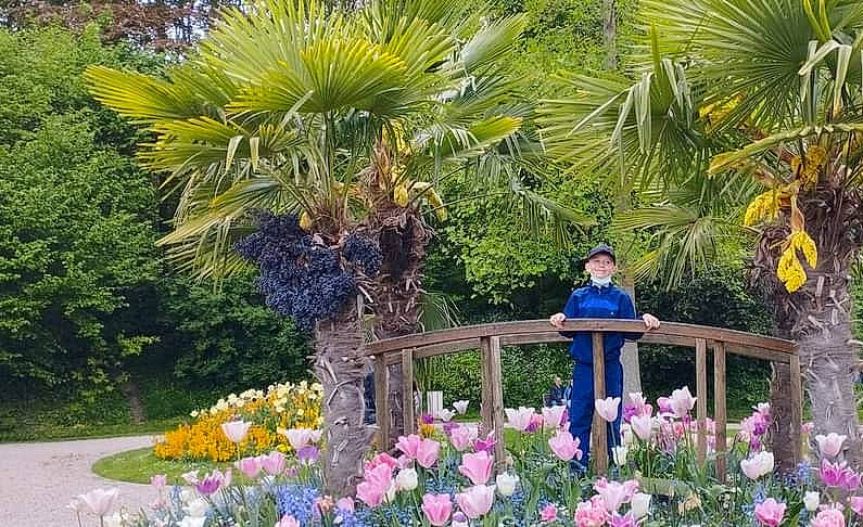 Lucas a rejoint le concours — aidez-le/la à gagner de superbes lots ! arecales, biome, botany, fence, flower, flowering_plant, grass, hat, headwear, landscape, leaf, leisure, nature, person, petal, plant, plant_community, shrub, terrestrial_plant, tree