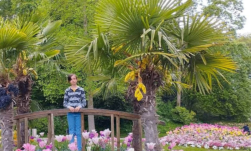 Cindy a rejoint le concours — aidez-le/la à gagner de superbes lots ! arecales, biome, botany, fence, flower, flowering_plant, grass_family, landscape, leaf, leisure, nature, palm_tree, person, plant, plant_community, sabal_minor, shrub, terrestrial_plant, tree, vegetation