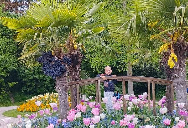 Enzo a rejoint le concours — aidez-le/la à gagner de superbes lots ! annual_plant, arecales, biome, botany, fence, flower, flowering_plant, joy, landscape, landscaping, leisure, nature, palm_tree, person, petal, plant, plant_community, shrub, terrestrial_plant, tree