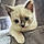 Sir Cutezy
