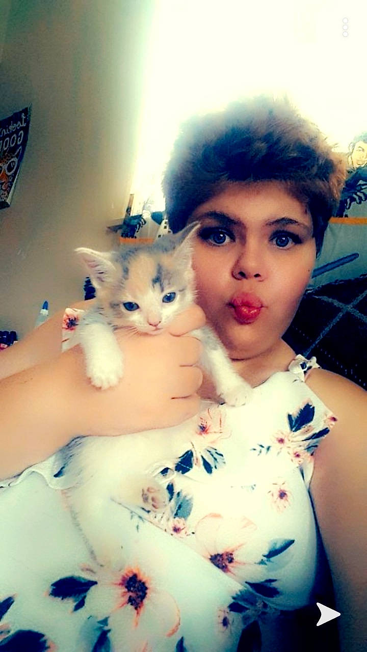 Butterscotts is registered to the contest to win money with this photo: black_hair, cat, cheek, ear, eye, eyebrow, felidae, kitten, nose, photography, selfie, small_to_medium_sized_cats, turkish_van, whiskers