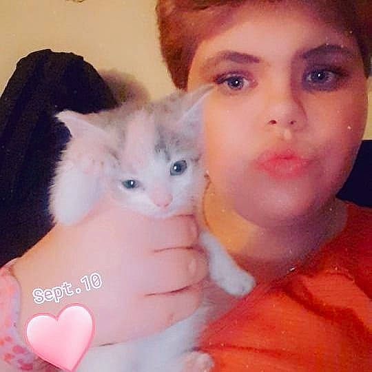 Butterscotts is registered to the contest to win money with this photo: cat, cheek, child, ear, eye, eyebrow, face, felidae, head, iris, lip, love, nose, organ, pink, selfie, skin, small_to_medium_sized_cats, turkish_van, whiskers