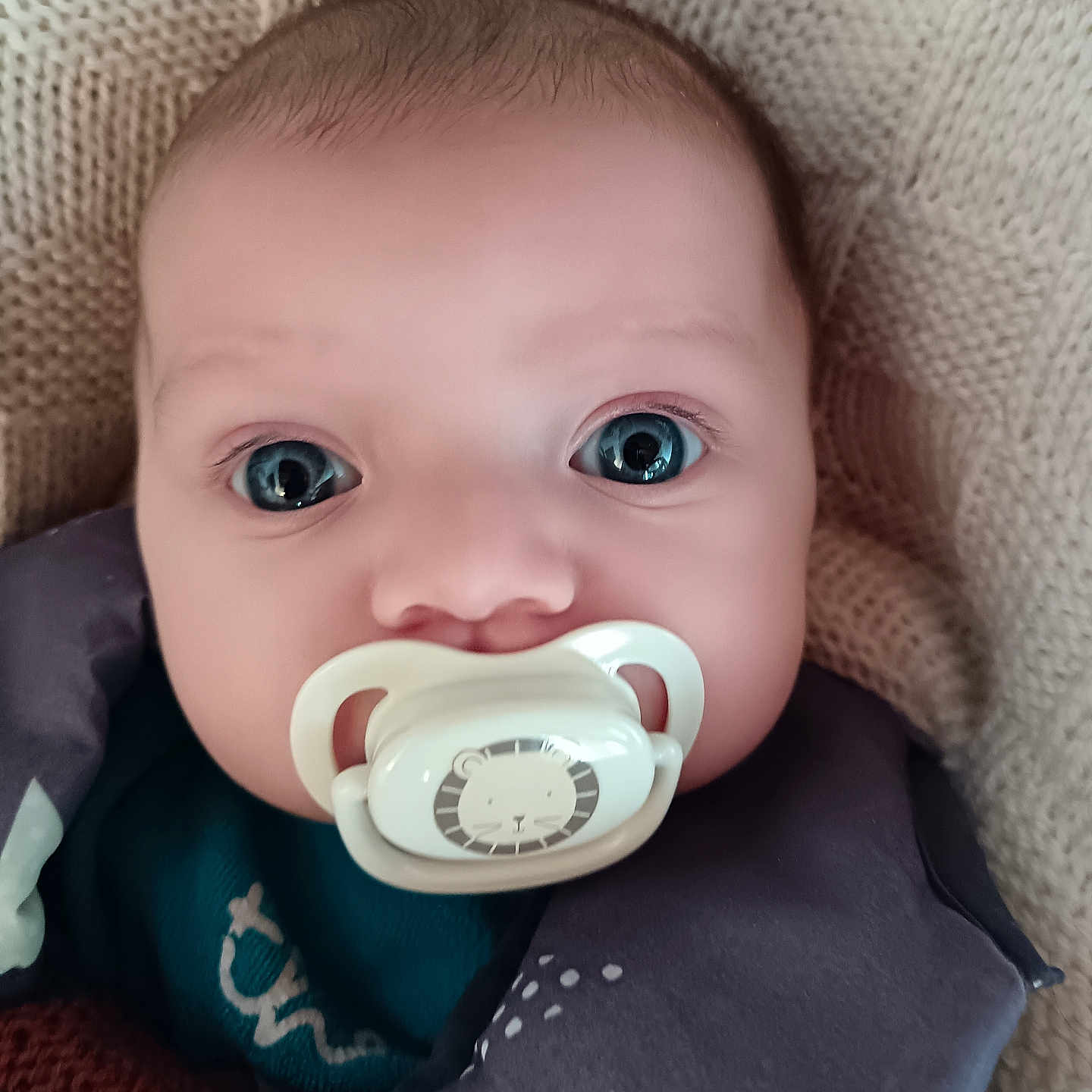 Andréa participe au concours pour gagner de l'argent avec cette photo : baby, blue_eyes, cheeks, close_up, clothing, cute, eyelashes, fabric, face, head, indoors, infant, knit_blanket, mouth, newborn, pacifier, portrait, portraitphotography, sleeve, staring