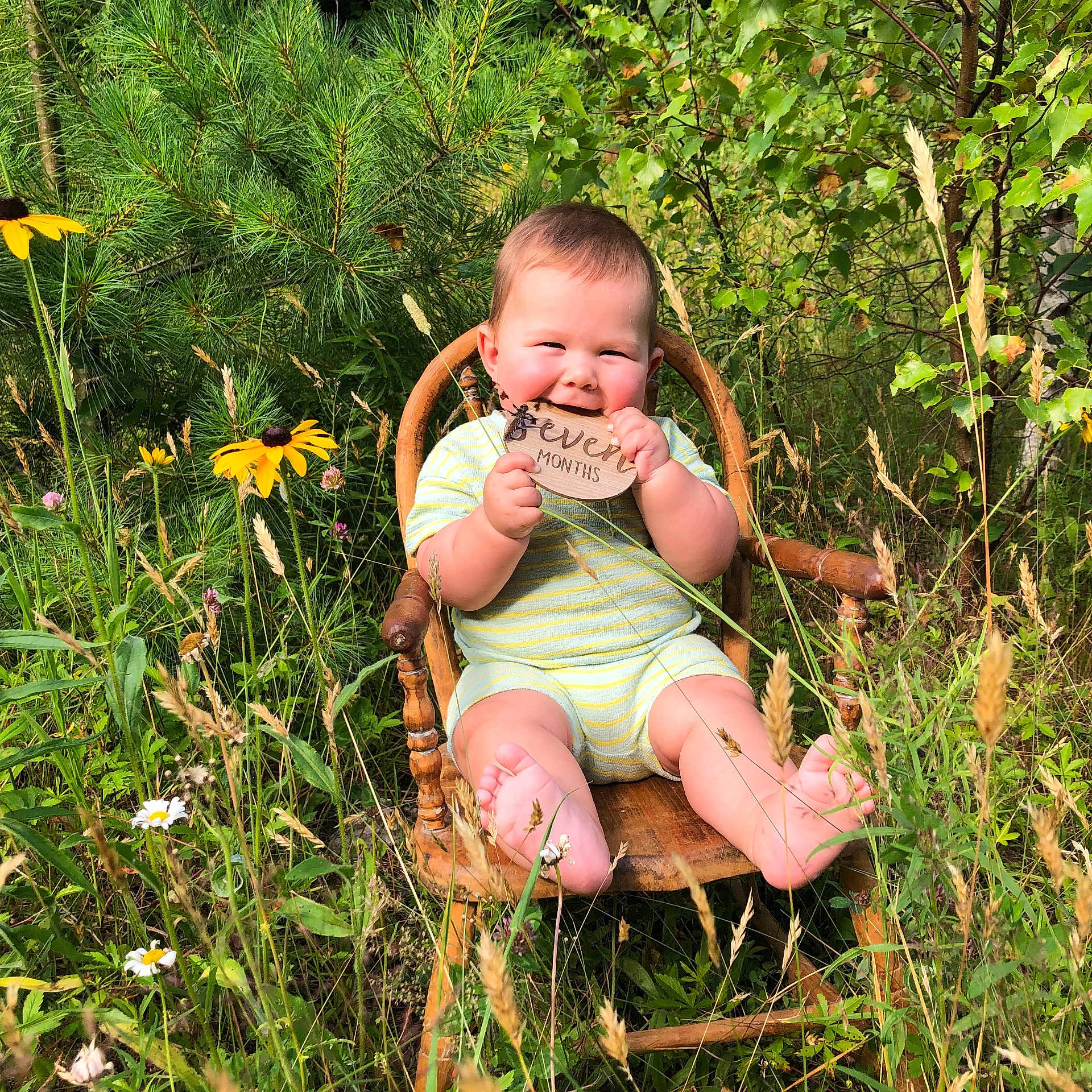 Colby is registered to the contest to win money with this photo: baby, daisy, face, flower, grass, head, herbal, herbs, leaf, person, petal, photography, plant, portrait, pottedplant, sitting, soil, summer, tree, vegetation