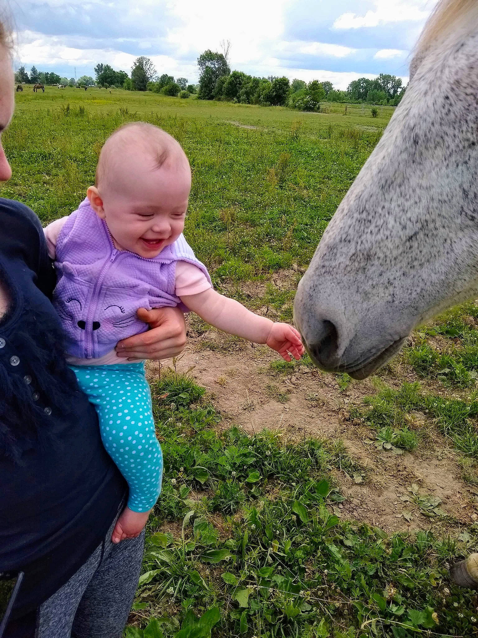 Aralynn is registered to the contest to win money with this photo: child, farm, grass, grassland, green, hand, livestock, mountain, nose, pasture, person, plant, play, rural_area, sky, summer, toddler, tourism, tree, vacation