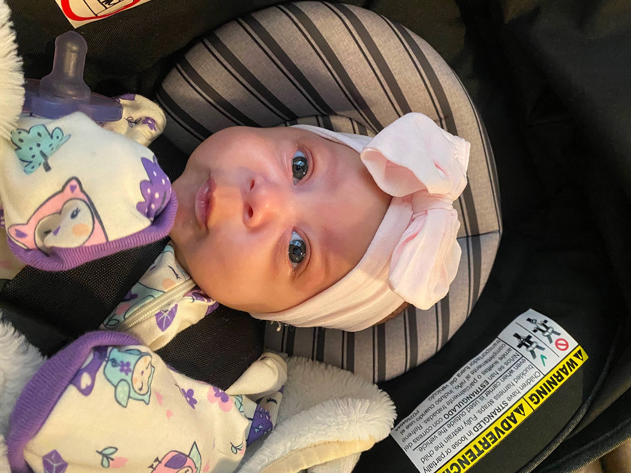 Denali joined the competition — help win amazing prizes! baby, baby_carriage, baby_products, baby_toddler_clothing, car_seat, cheek, child, comfort, eyelash, facial_expression, fun, headwear, iris, linens, person, skin, toddler, tree