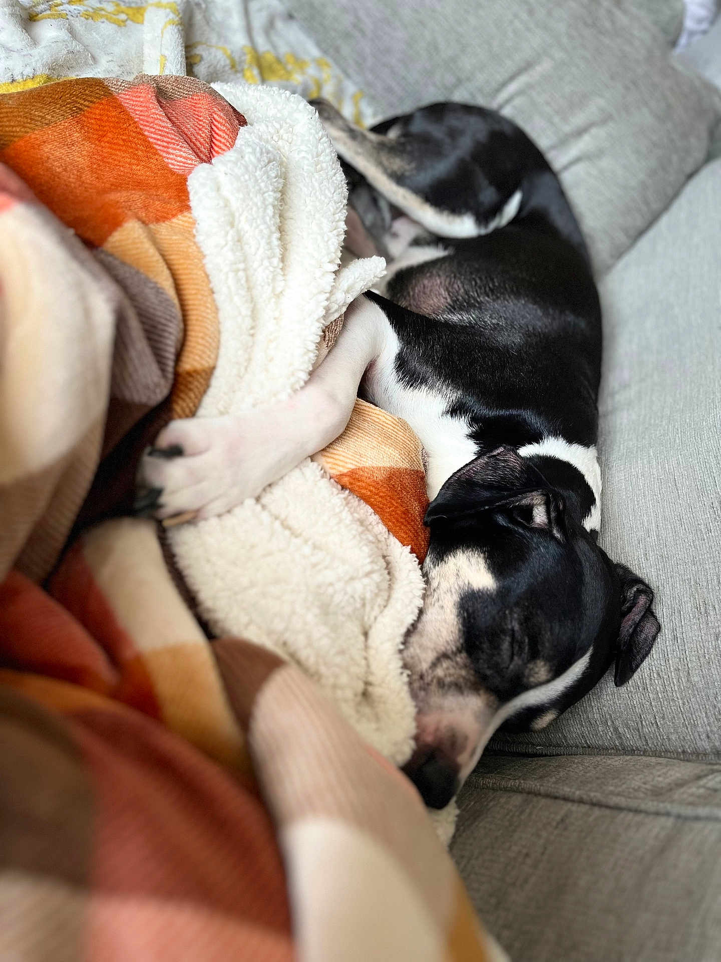 Cooper