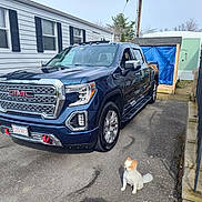 Teddy is registered to the contest to win money with this photo: canine, chrome, daylight, dog, driveway, fluffy_dog, gmc, mobile_home, outdoor, outdoor_chair, parked_vehicle, pavement, pet, residential_area, sidewalk, small_dog, stairs, truck, vehicle, windows