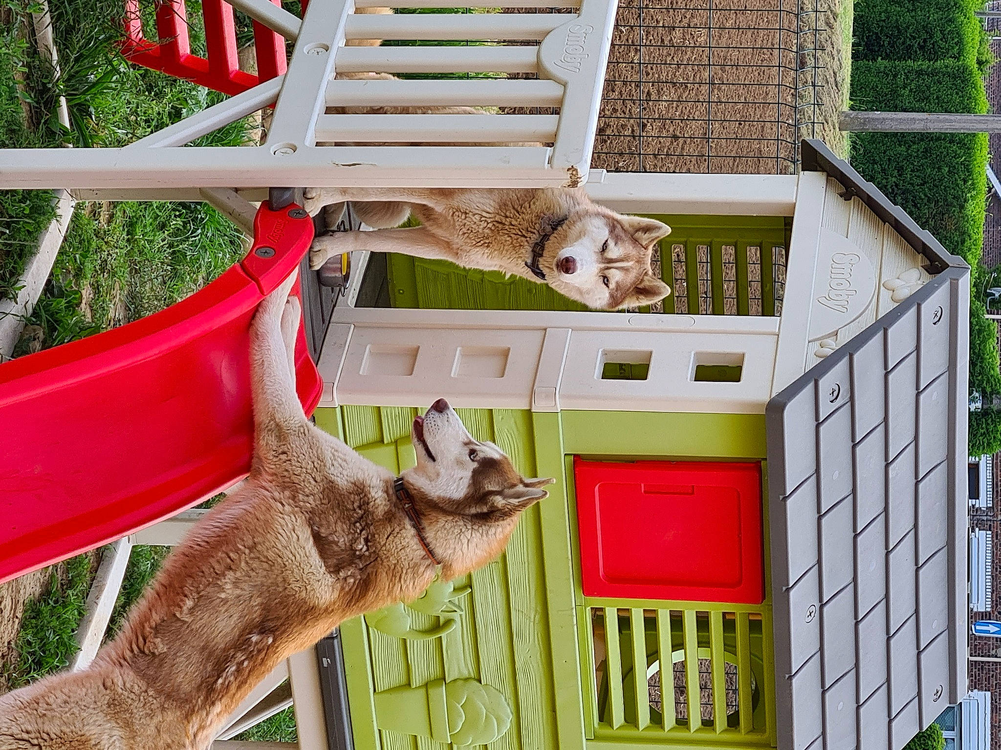 Roselia participe au concours pour gagner de l'argent avec cette photo : backyard, building, cottage, door, facade, fawn, garden_buildings, grass, green, house, leisure, outdoor_furniture, plant, roof, sash_window, shed, siding, tree, window, wood