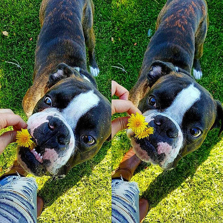 Cassius joined the competition — help win amazing prizes!