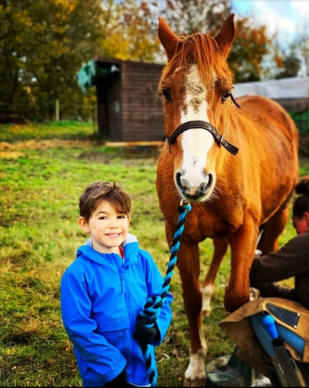 Spencer joined the competition — help win amazing prizes! bridle, eye, grass, halter, happy, horse, horse_supplies, horse_tack, joy, leisure, liver, livestock, mane, pack_animal, person, recreation, rein, snout, sorrel, toddler