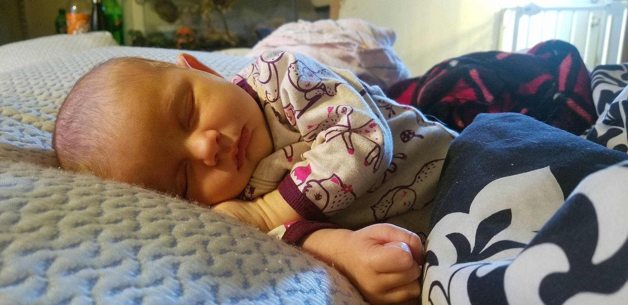 Evalynn is registered to the contest to win money with this photo: baby, bedtime, birth, child, comfort, nap, person, sleep, toddler